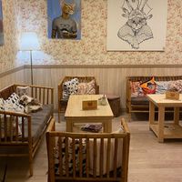  at Cat Cafe in Vilnius