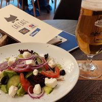  at Cat Cafe in Vilnius