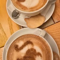  at Cat Cafe in Vilnius