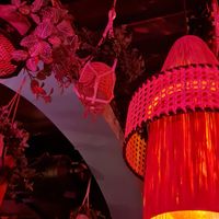 Many plants at Let‘s be Frank in Vienna