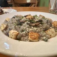   at Salvei in Playa Del Carmen