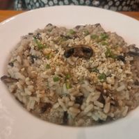 Mushroom risotto at Salvei in Playa Del Carmen