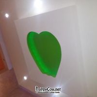 Apple on the ceiling. at Vital in Santa Marta