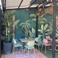  #Veganuary at Flora Vegan Cafe in Tamarindo