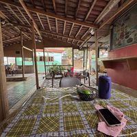   at Assase Pa - The Earth is Good in Accra