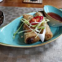 Spring-rolls with sweet sour dip at Hoi An in Aachen