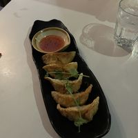 Tofu gyoza  at Janet's  in Pontypridd