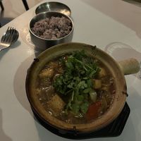 Braised tofu and steamed ricee  at Janet's  in Pontypridd
