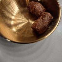 Intense bites at Pulse in Edinburgh