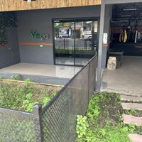 Garden not being maintained   at Vego in Koh Samui