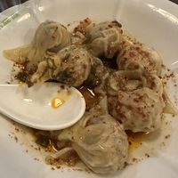 House dumplings  at Tofu Vegan - Spitalfields in East London