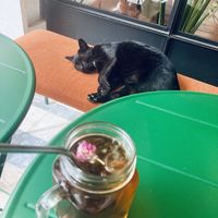   at M Cafe in Carcavelos