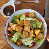 Tofu Salad at Onederz Hostel in Siem Reap