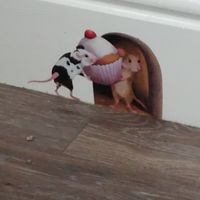  at Friends of Oldway Tea Room in Paignton