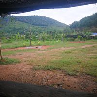 The restaurant with a durian plantation. at Lake Restaurant in Kampot
