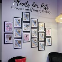 Adopted pet wall  at Vine Vegan in Brandon