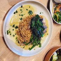 Mushroom Risotto at Luma Riverfront Bar & Eatery in Petaluma