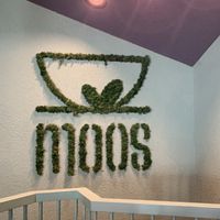   at greenhouse Café & PopUp in Esslingen