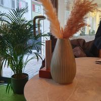  at greenhouse Café & PopUp in Esslingen