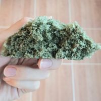 mugwort bun (without filling) - inside at Joseon Snack - 조선스낵 in Busan