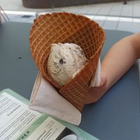 Oreo Eis at Virtuous Pie in Cologne