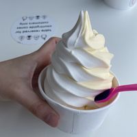 Vegan Twist  at Countryside Cones in Omaha