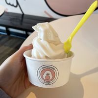 Vegan Vanillaa  at Countryside Cones in Omaha