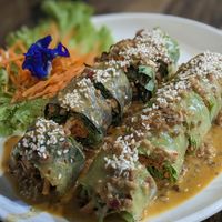 Fresh Spring Rolls at La Carotte Qui Rit in Surat Thani