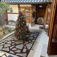 Yard  at Solbangul Bakery 솔방울베이커리 in Seoul
