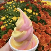 Strawberry & Pineapple dole whip  at Mayberry in Davison