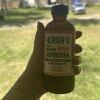 Kombucha  at Indigo - Thong Sala in Koh Phangan