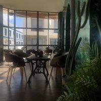   at Triton's Coffee Lab in Fuerteventura