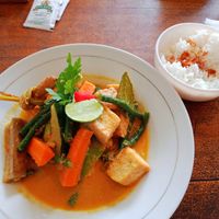 'Vegetables dish' yes, that is it's name ( veggie Curry) at Healthy Warung in Gianyar