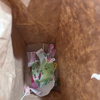   at Tattooed Mom in Philadelphia