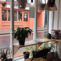  at Little Collins CBD Dispensary Galway in Galway