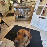   at Little Collins CBD Dispensary Galway in Galway