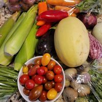 Bin service - local, organic, and fresh at Heliotrope Organic Farm in Regina