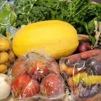 Bin service at Heliotrope Organic Farm in Regina
