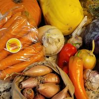 Abundant bin at Heliotrope Organic Farm in Regina