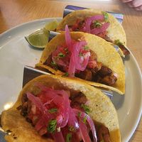  at Tacoholics in Boquete