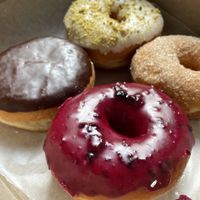 Massive delicious donuts   at bloomer's in Burlington