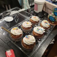 Cupcakes! at bloomer's in Burlington