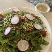   at Anokhi Cafe in Jaipur