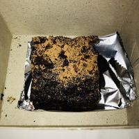 Vegan chocolate brownie at Anokhi Cafe in Jaipur