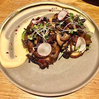 Mushroom tartine  at Casette in Dubai