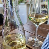 White vine at Mezestoran Dvorište in Belgrade