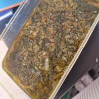 saag bhaji at Indian Royal Spicy in Brussels