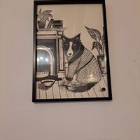  at Nooch Bar and Kitchen in Stirling