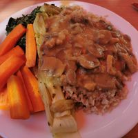 Buffet selection at Cassius Garten in Bonn
