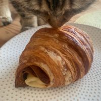   at Maison Macha in Culver City